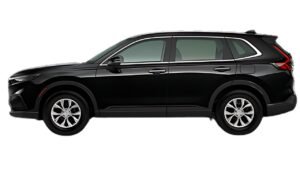 Crystal Black Pearl (NH-731P)